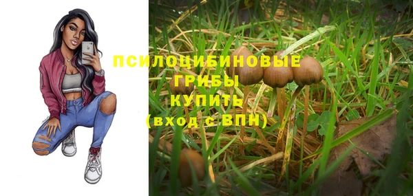 эйфоретик Нефтегорск