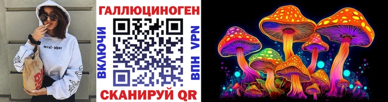 наркотики  Ряжск  блэк спрут tor  Псилоцибиновые грибы Psilocybine cubensis 