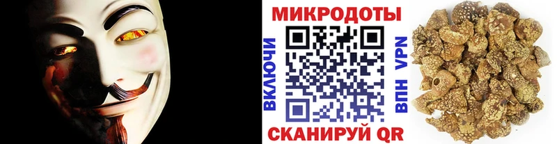Псилоцибиновые грибы GOLDEN TEACHER Ряжск